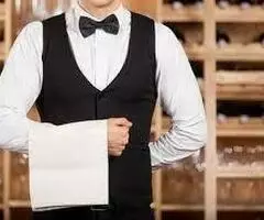 Ayudante de camarero/a