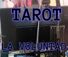 TAROT Y VIDENCIA BARATO VIRTUAL ON-LINE READING