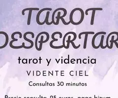Vidente Ciel. Tarot y videncia personal