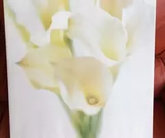 Cuadros de lirios blancos