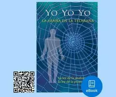 Yo, yo, yo, la araña en la telaraña