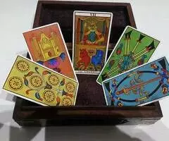 Tarot social a la voluntad