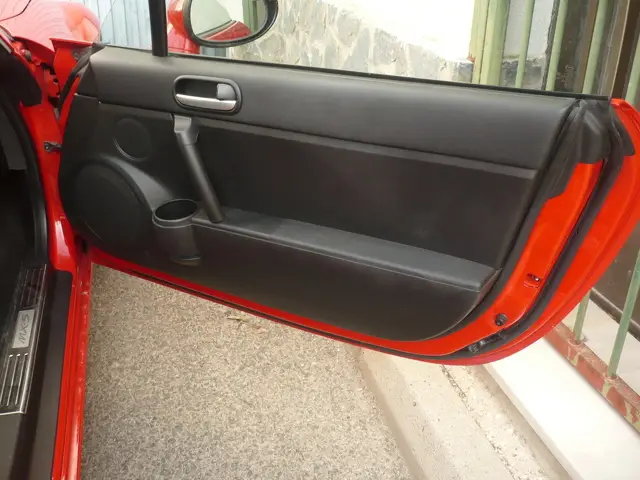 Paneles de las puertas Mazda MX5 NC - 1/1