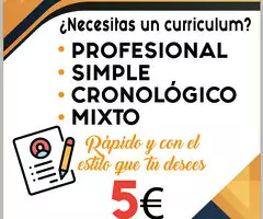 REDACCION DE CURRICULUMS