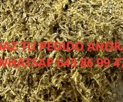 HEBRA MUY BUENA PARA LIAR O ENTUBAR