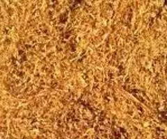 TABACO RUBIO PARA LIAR O ENTUBAR - 5