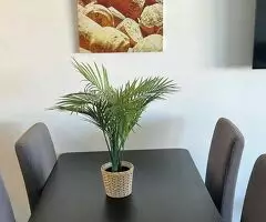 Estudio primera línea de playa, Calahonda, en Mijas Costa, Málaga - 8