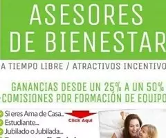 Plan de bienestar - 6