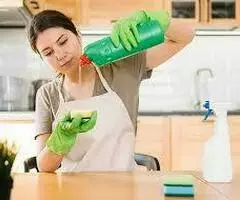 servicios de limpieza profesional - 2