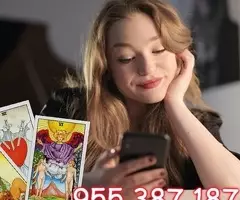 Videntes exactos y minuciosos 9€ 30 min