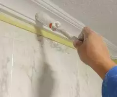 Servicios de pintado - 7