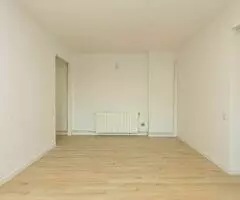 Suelos de maderas laminados - 5