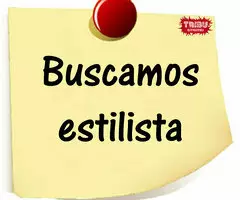 Buscamos estilistas