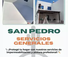 pinturas en general