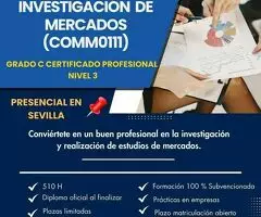 CERTIFICADO PROFESIONAL ASISTENCIA A LA INVESTIGACIÓN DE MERCADOS (COMM0111)
