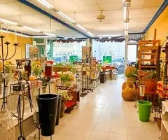 Alquiler local oficina 89 m2 Torrevieja - 2