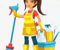 Servicios de limpieza