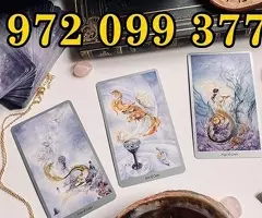 TAROT DEL AMOR – DESCUBRE TU DESTINO 97299377