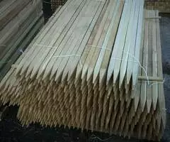 estacas de acacia - 2