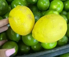 LIMONES - 2