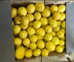 LIMONES - 4