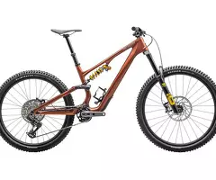 2025 Specialized Stumpjumper 15 - Öhlins Coil Mountain Bike (ALANBIKESHOP)