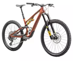 2025 Specialized Stumpjumper 15 - Öhlins Coil Mountain Bike (ALANBIKESHOP) - 2