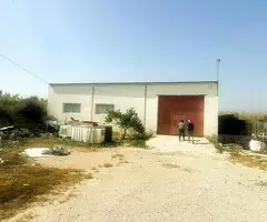 Venta terreno rustico con nave Torremendo - 4