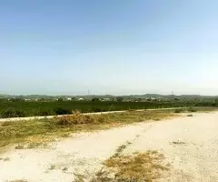 Venta terreno rustico con nave Torremendo - 10