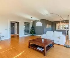 suelos de maderas laminados vinilos spc - 4