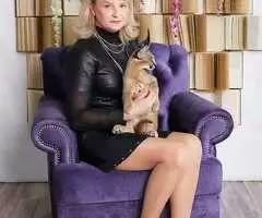 Gatitos Serval y Caracal - 6