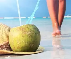 Ya Tienes Tu Ticket Para Viajar A Republica Dominicana?