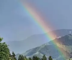 Le garantizo una satisfacción total