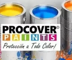 Pinturas Para Remodelar, Cambiar Fachada De Propiedades! - 2