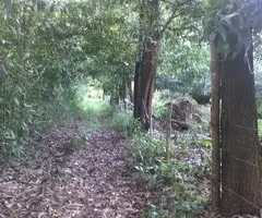 Fincas En Venta, Monte Plata!! - 2