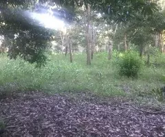 Fincas En Venta, Monte Plata!! - 3