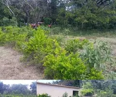 Venta De Terrenos, Solares Y Fincas En Todo El Pais! - 2