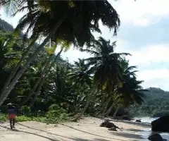 Venta De Terrenos, Solares Y Fincas En Todo El Pais! - 8