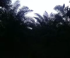 Venta De Terrenos, Solares Y Fincas En Todo El Pais! - 10