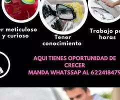 Se busca personal para lavadero - 2