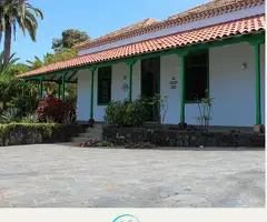 Nueva Residencia en el Puerto de la Cruz - Cataleya Puerto - 4