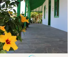 Nueva Residencia en el Puerto de la Cruz - Cataleya Puerto - 9