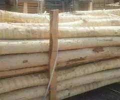 Oferta de postes de acacia – EL-REZ s. r. o. - 5