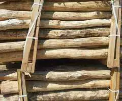 Oferta de postes de acacia – EL-REZ s. r. o. - 7