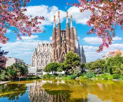 Barcelona Museums Entry Tickets and Guided Tours