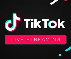 Streamer de Tik Tok Gaming (remoto)