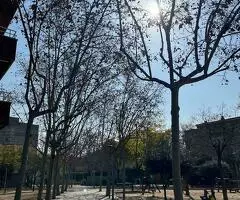 PISO CENTRICO EXTERIOR CON ASCENSOR - 9