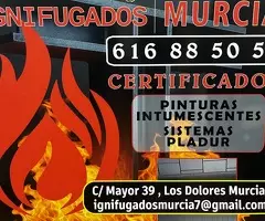 IGNIFUGADOS (MURCIA)