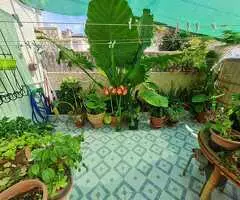 Adosado en esquina en venta en Torrevieja - 3