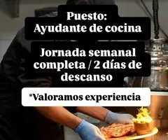 Ayudante de cocina